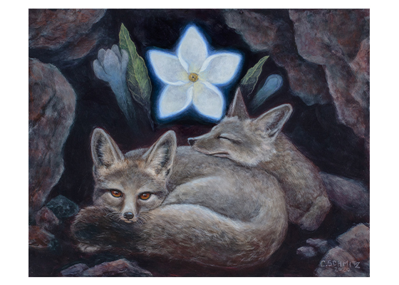 Dreaming Foxes